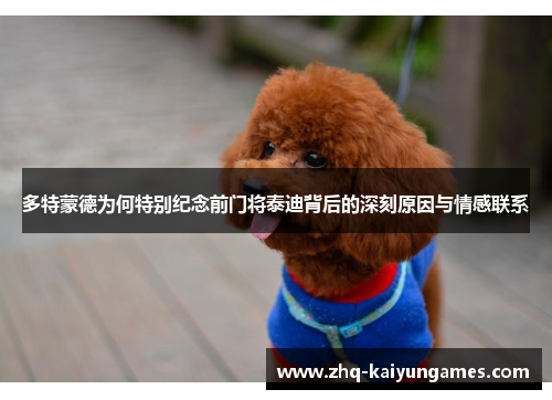 多特蒙德为何特别纪念前门将泰迪背后的深刻原因与情感联系