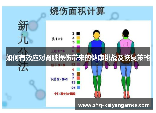 如何有效应对肾脏损伤带来的健康挑战及恢复策略