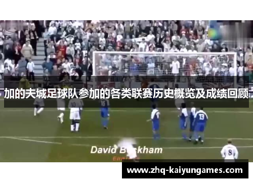 加的夫城足球队参加的各类联赛历史概览及成绩回顾